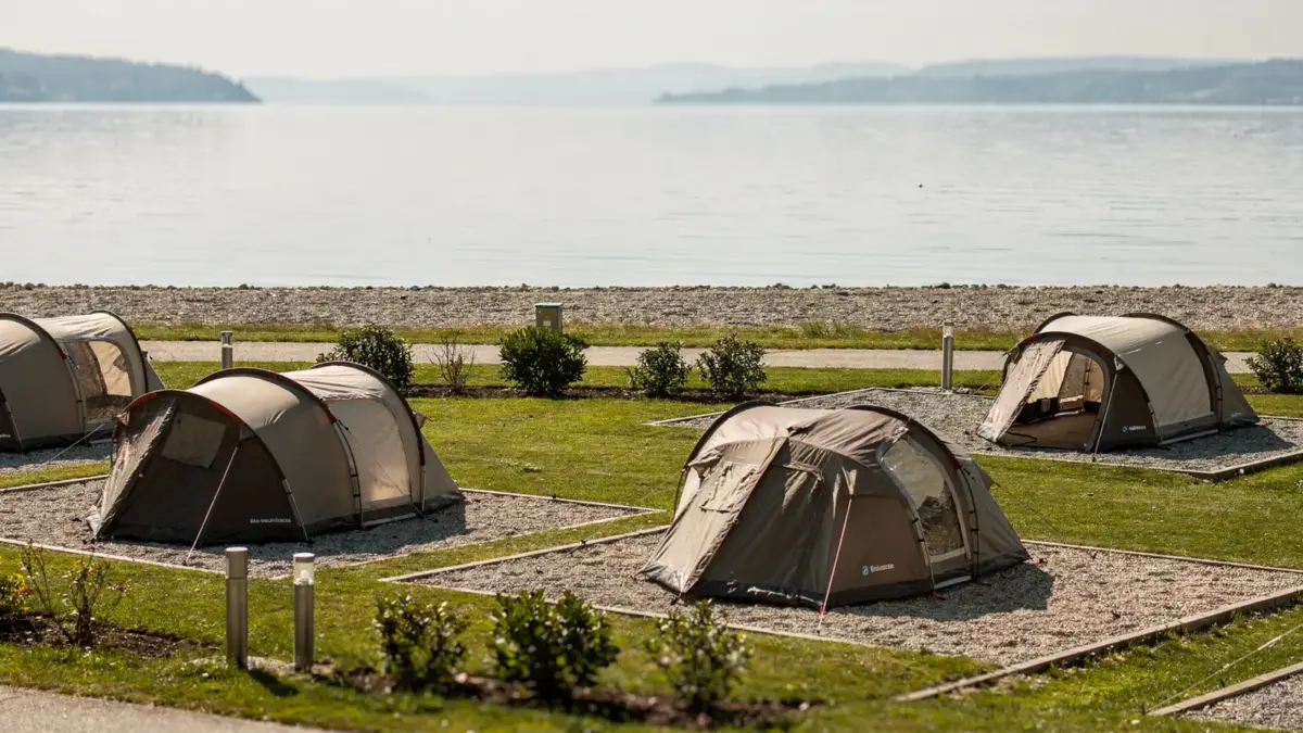 Zeltplatz am Bodensee mit Zelten direkt am Seeufer und ruhiger Wasserfläche