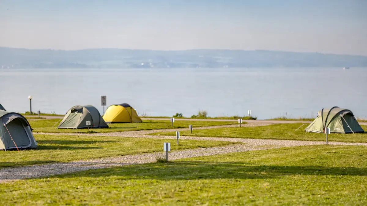 Leere Campingplätze am Bodensee im Sommer mit Grünfläche und See im Hintergrund